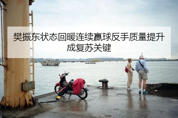 樊振东状态回暖连续赢球反手质量提升成复苏关键